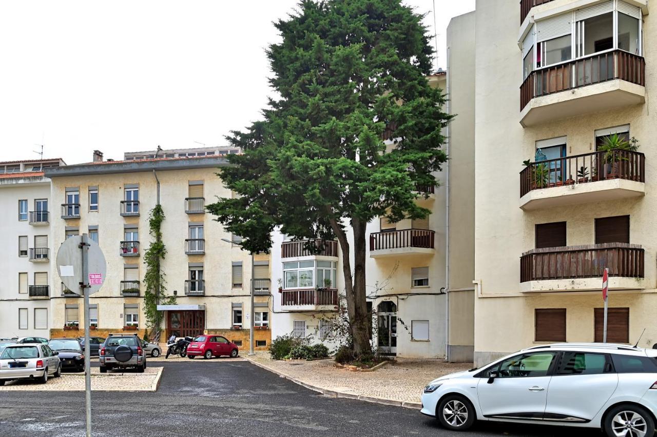 Cascais Studio Outdoor Patio Newly Renovated Bagian luar foto